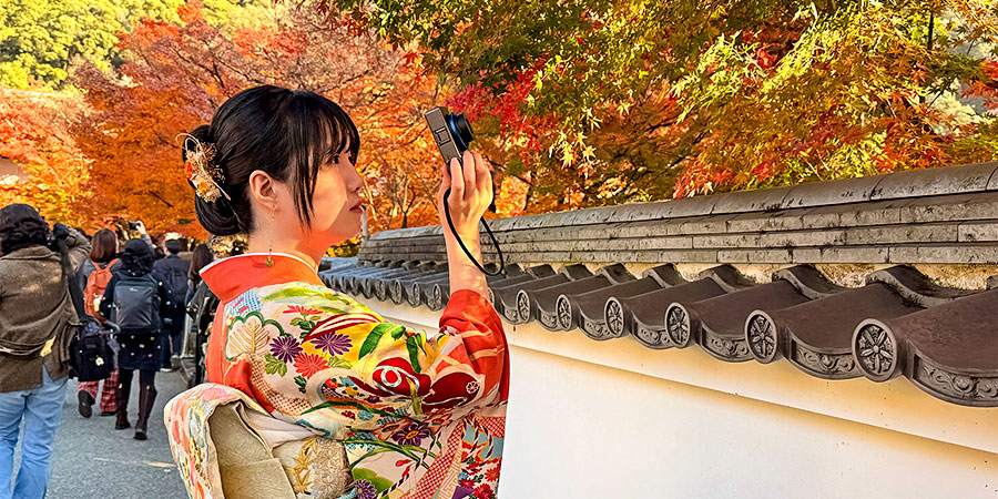 Autumn View in Sendai