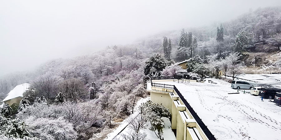 Snowy Days in February