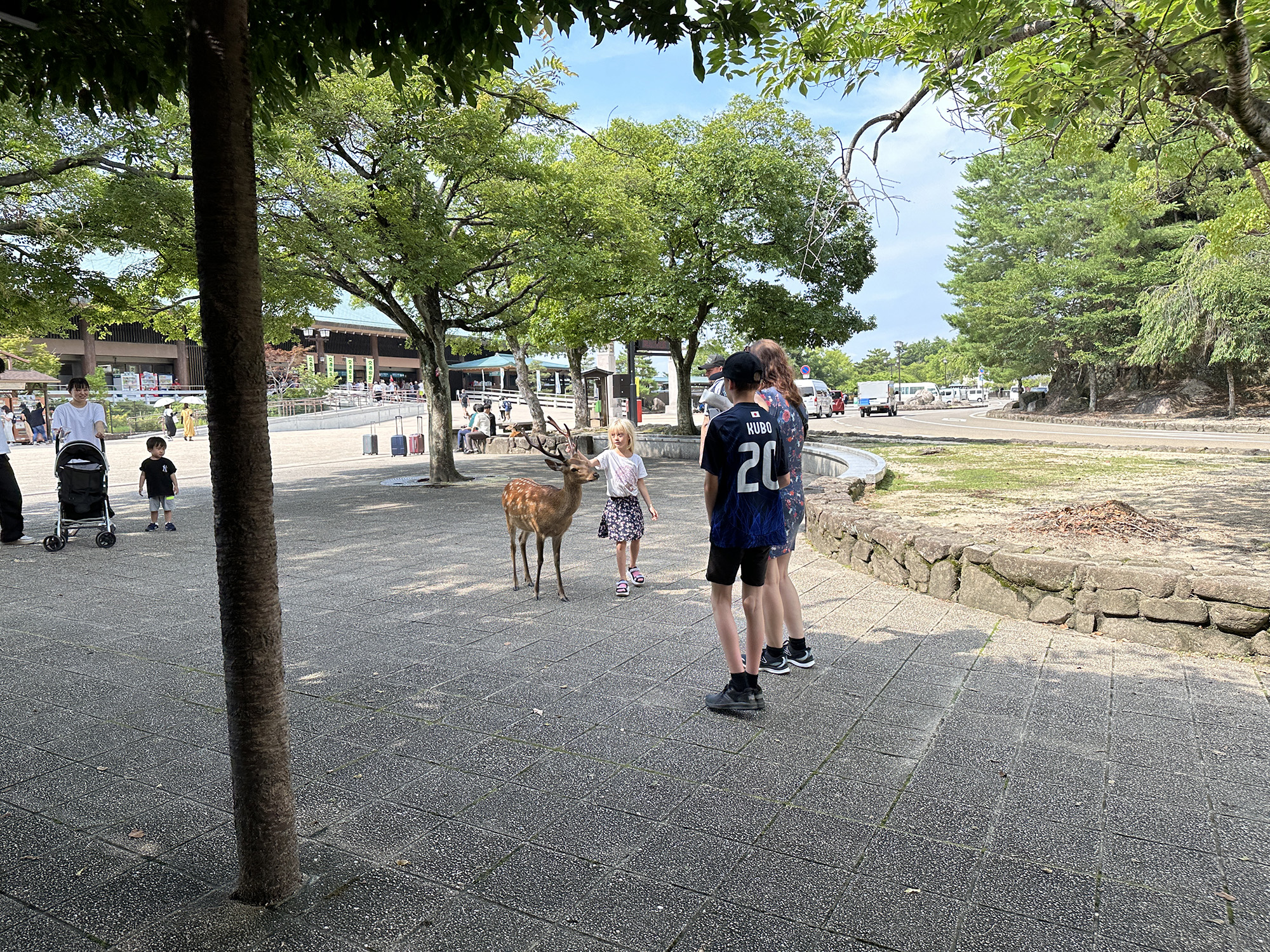 Strolling under the Shade