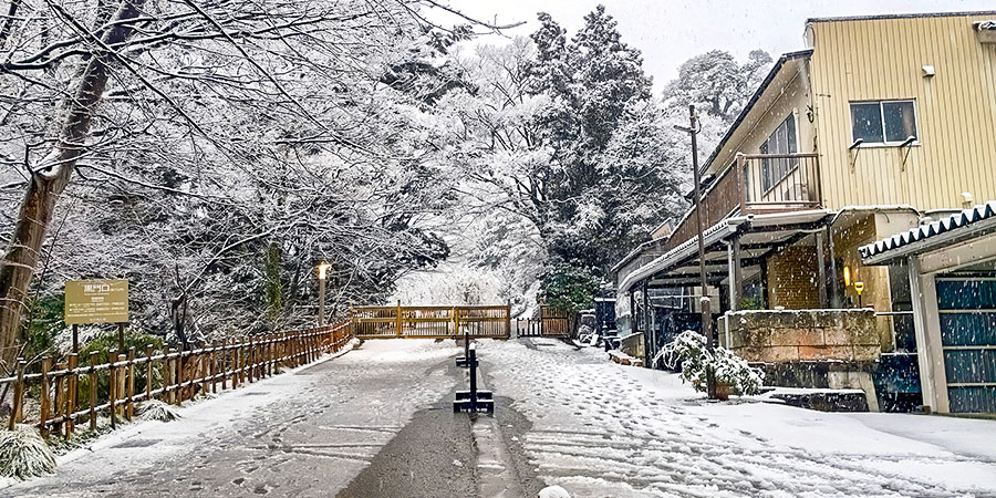 Snowy Weather in Sendai