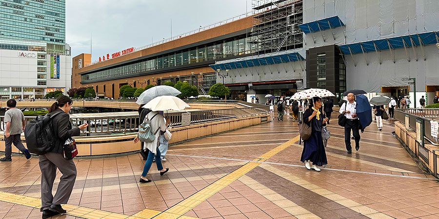 Tourists Carrying Umbrellas