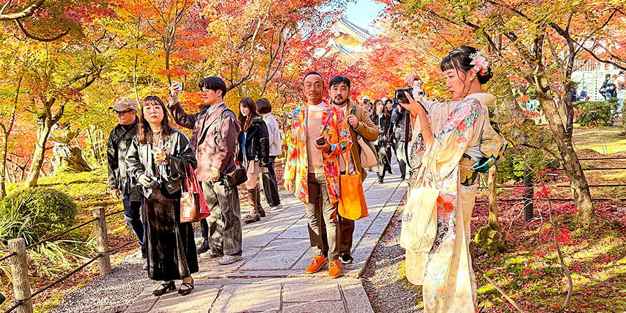 Colorful Leaves in Late October