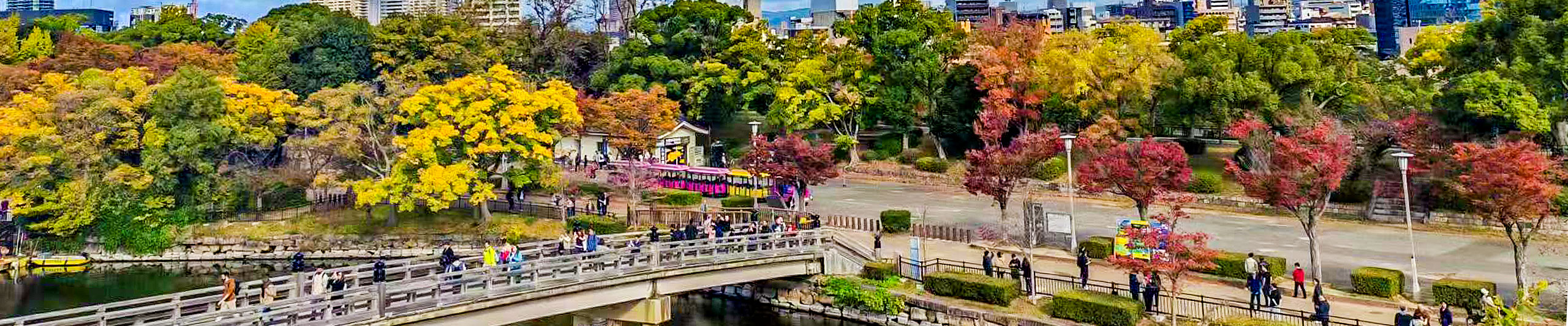 Autumn Landcape in Sendai