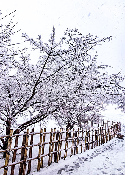 Snowy Scenery of Sendai