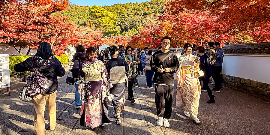 Travelers in Early December
