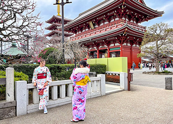 Senso-ji Temple in Winter