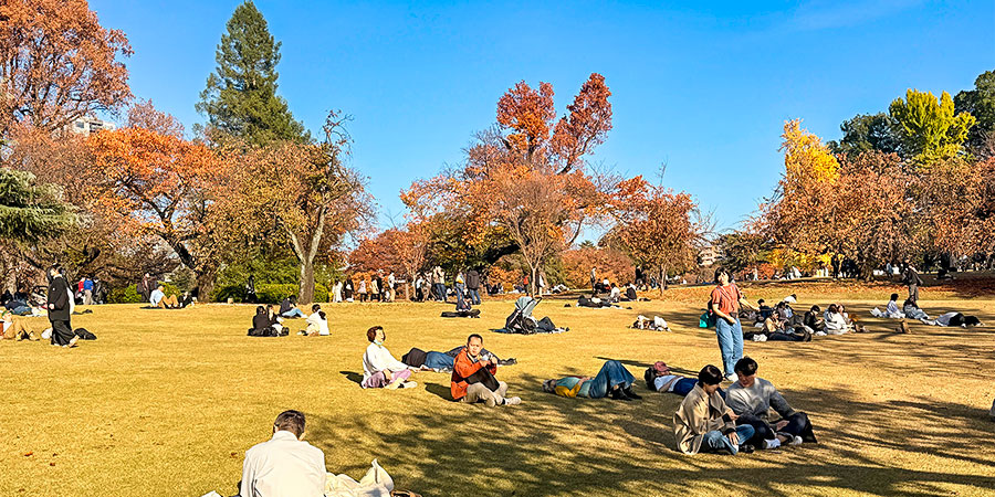 Shinjuku Gyoen National Garden in November