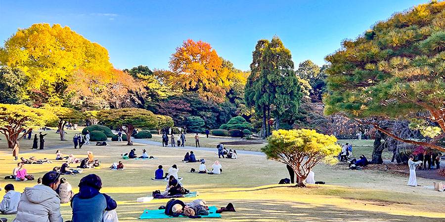 Shinjuku Gyoen National Garden in Autumn