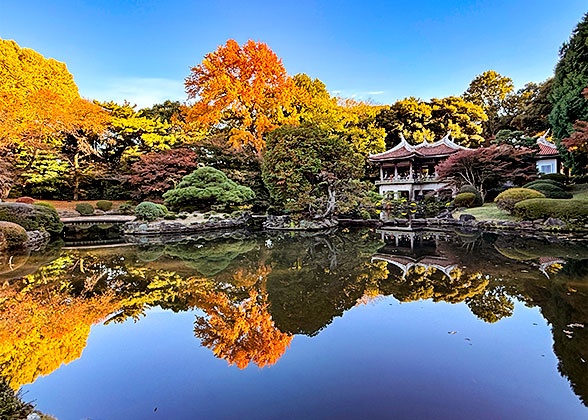 Shinjuku Gyoen National Garden
