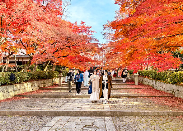 Japan in Autumn Japan in Autumn