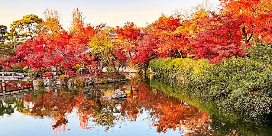 Shinobazu Pond in Autumn