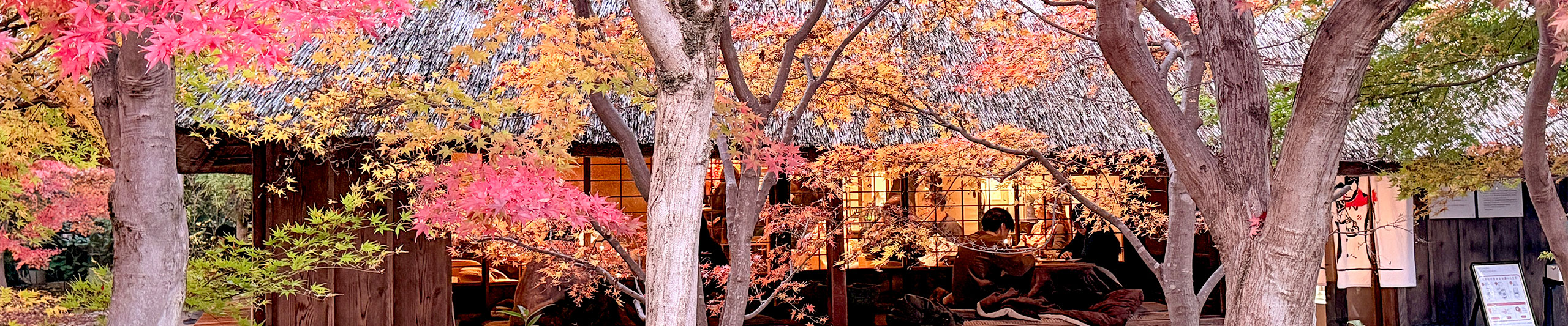 Shirakawa-go Fall Leaves Shirakawa-go Fall Leaves