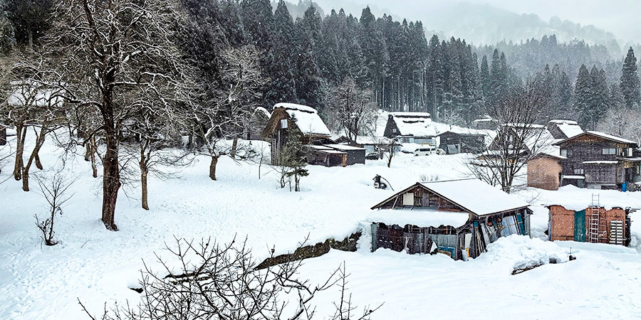 Snowy days in Shirakawa-go