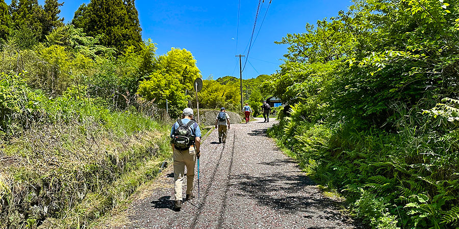 Observation Deck Trail