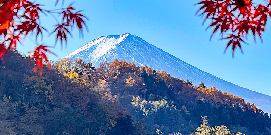 Mount Fuji and Red Leaves