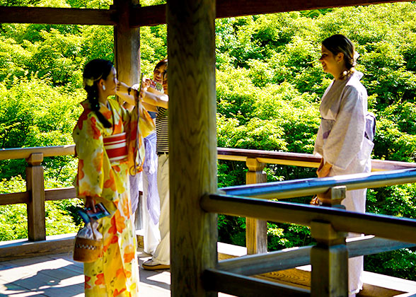 Beautiful Girls in Kimono