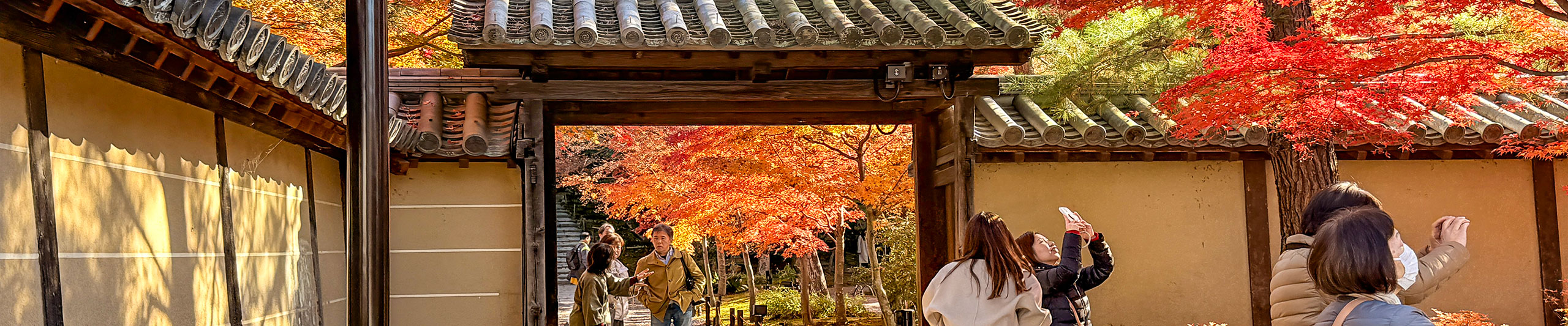Visitors Appreciating Colorful Fall Leaves