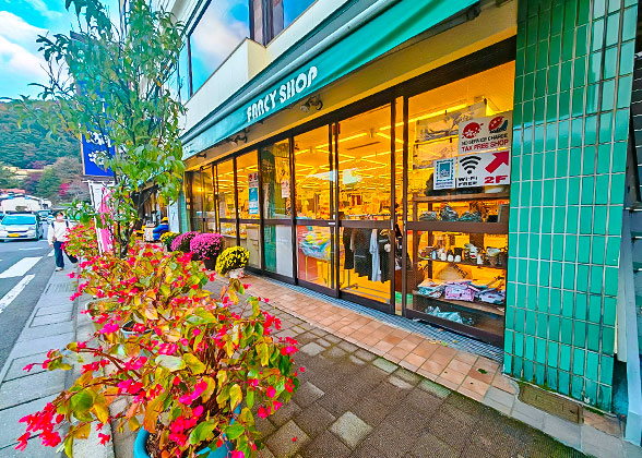 Shopping Street Near Mount Fuji