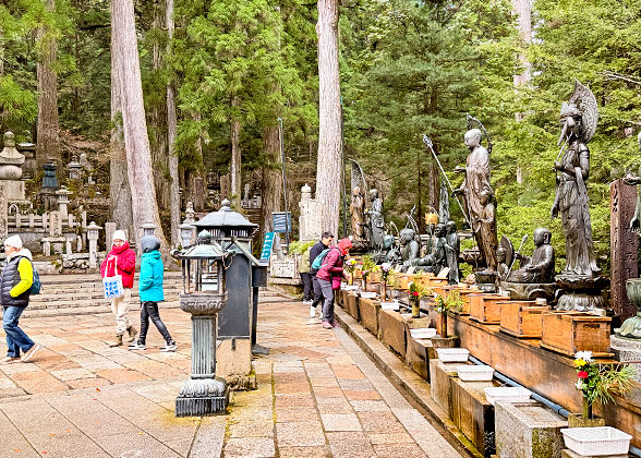 Stone Lanterns in Shrine
