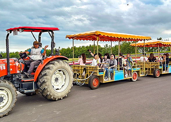 Sightseeing Bus