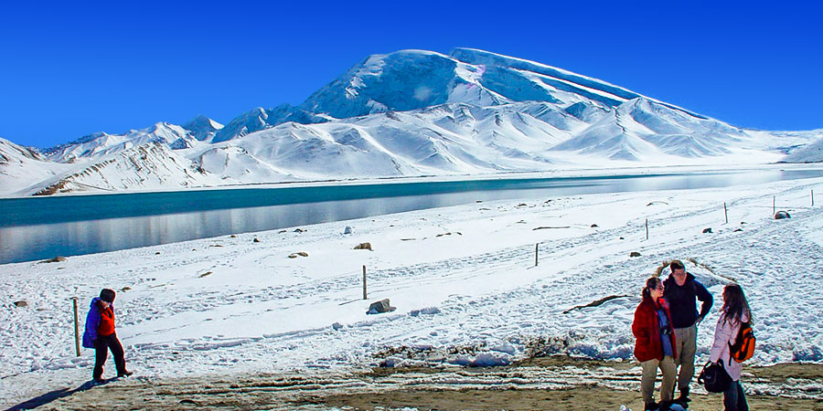 Snow-covered Grassland