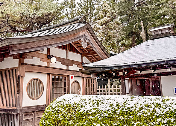 Snow scene in January