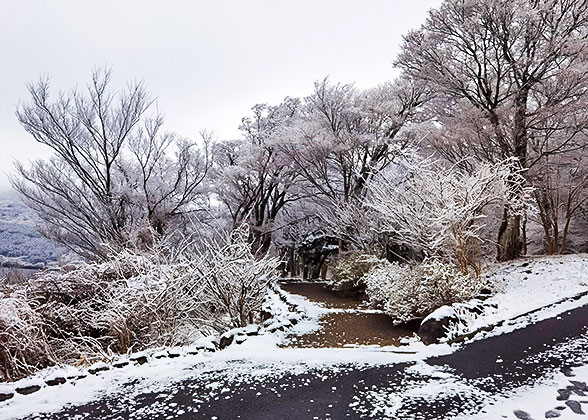 Snowy Landscape in November