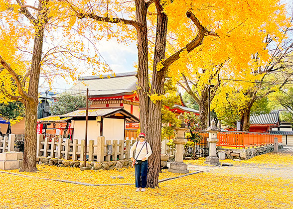 Stunning Japan in October