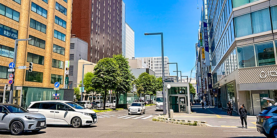 Sunny Hokkaido in June