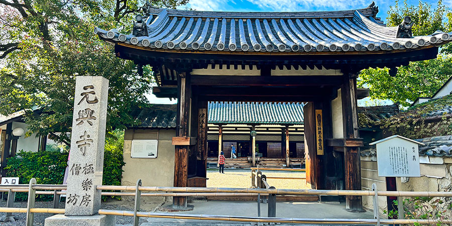 Sunny Moments of Kyoto in May