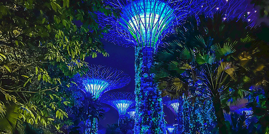 Supertree Grove at Garden by the Bay