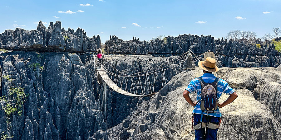 Suspension Bridge