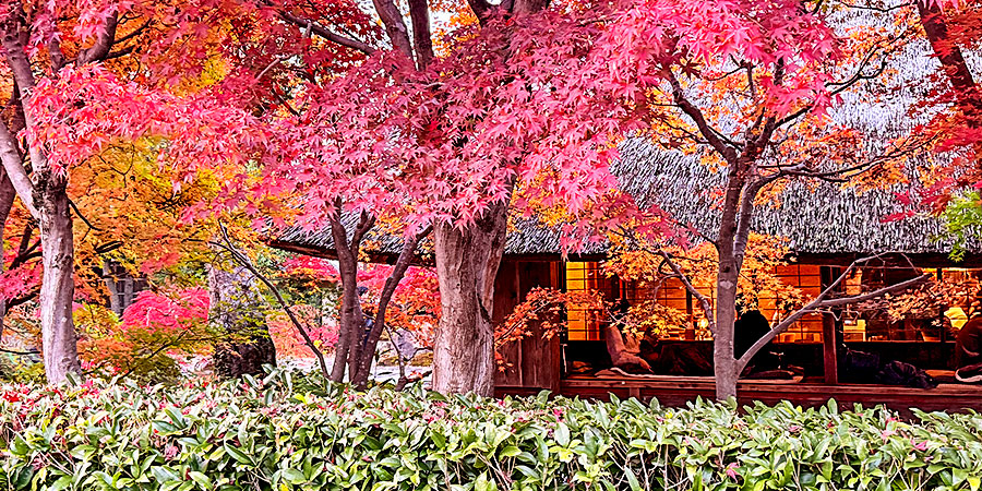 Best Fall Foliage View