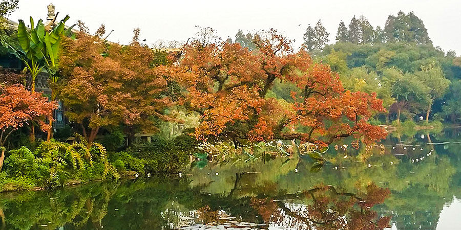Takayama in Autumn
