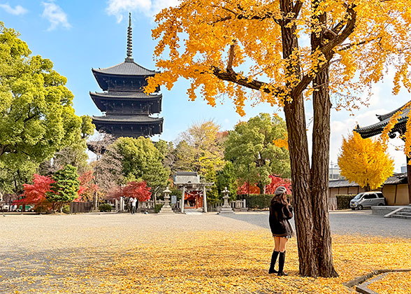 Peaceful Autumn Scene