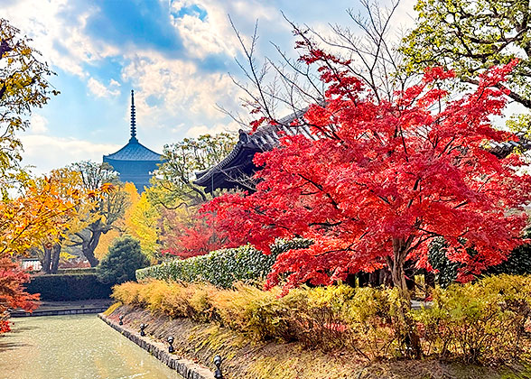 Peaceful Autumn View