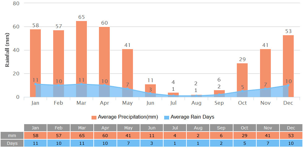 Tashkent Weather 2025 Climate Temperature Seasons