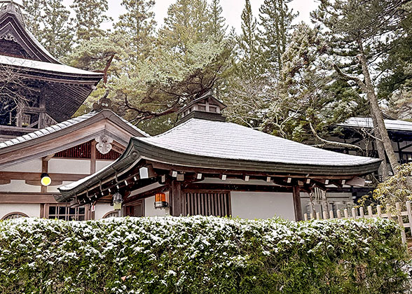 Temples on Mount Koya