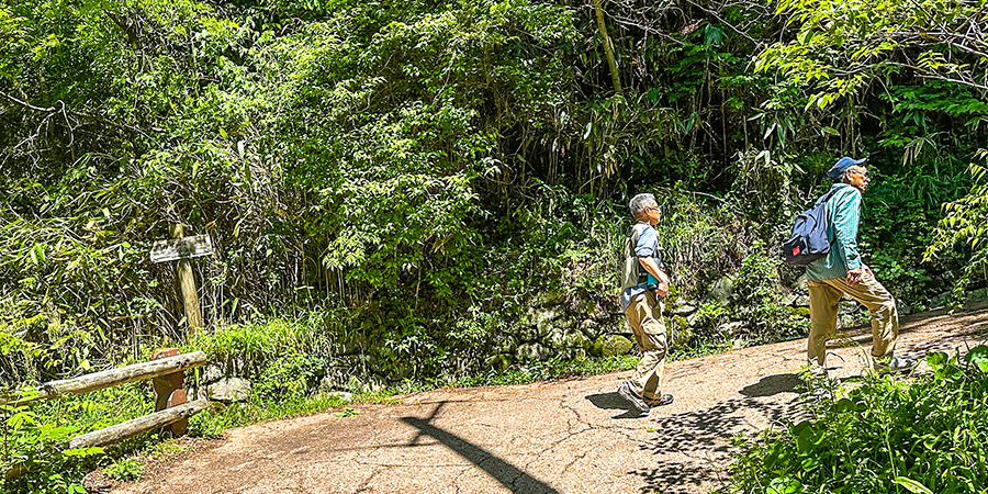 Tenjoyama Park Hiking Trail