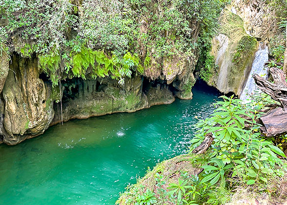 Tijuca Forest National Park
