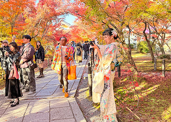 Todaiji Temple in Autumn