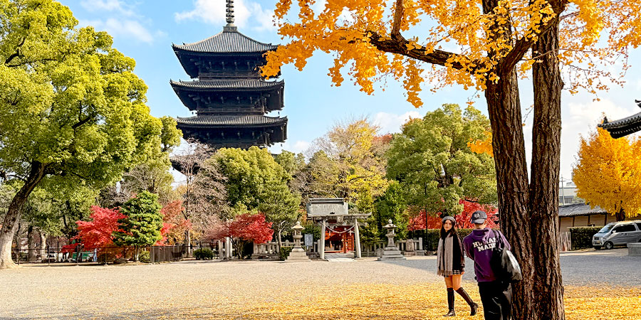 Toji Temple in November