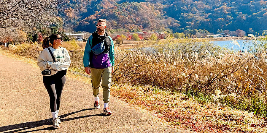 Autumn Leaves in Mountainous Area in Tokyo