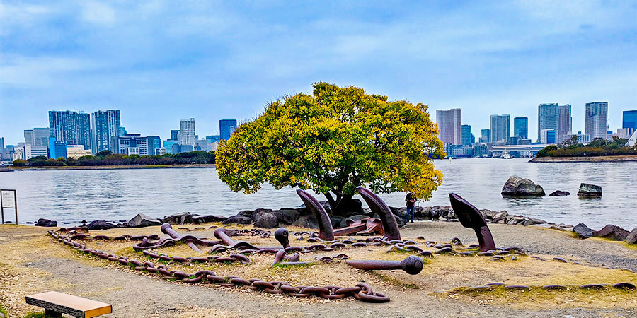 Odaiba Seaside Park in November