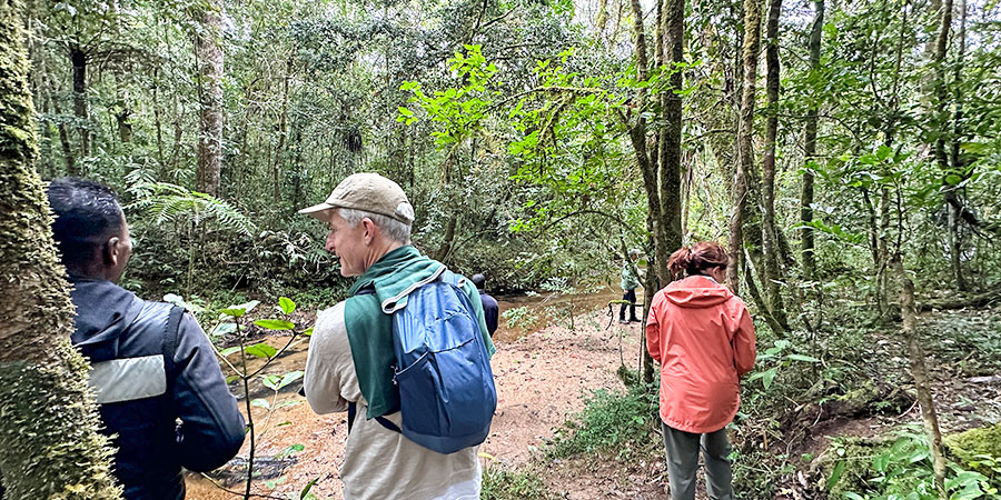 Tourists in the Hiking