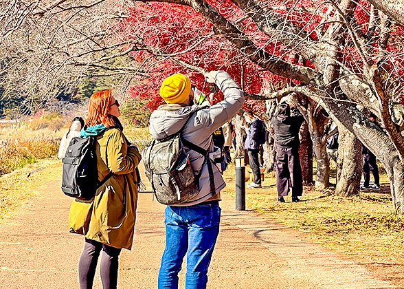 Tourists strolling along the lake