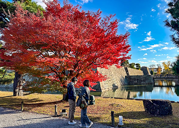Tourists visiting Nijo Castle