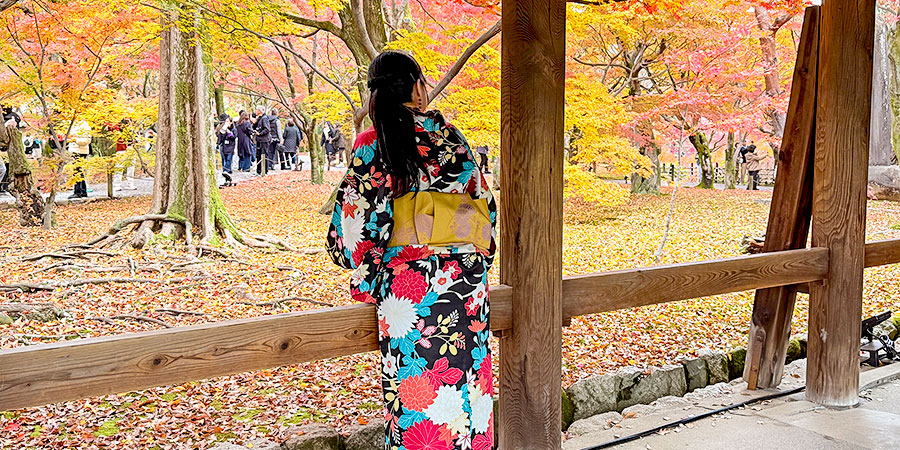 Tourists Wearing Kimonos