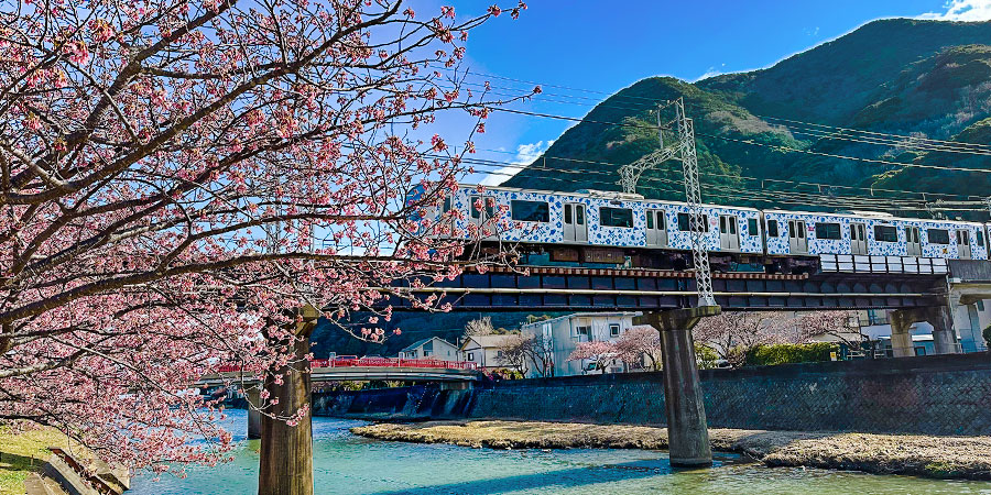 Trains in Japan