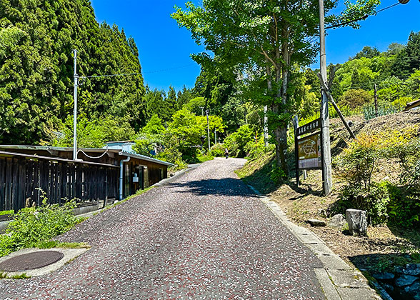 Trial to Mount Fuji Summit